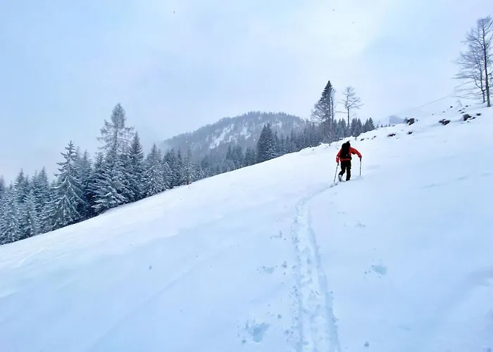 Resort Hanni Deisenberger
